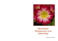 Geburtstagskarte-10.pdf